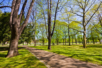 Central park  ih Bonn city, Germany.