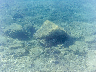 Fondale fangoso e roccioso nello Stretto di Messina con pesci