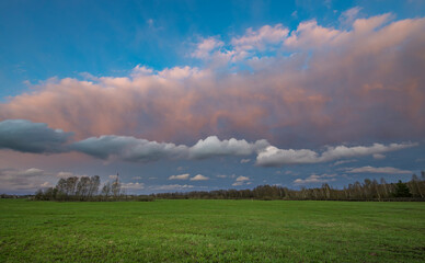Obraz premium A field of grass with a cloudy sky in the background