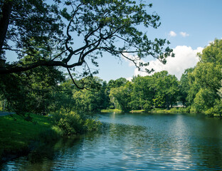 Fototapeta premium A body of water with trees in the background