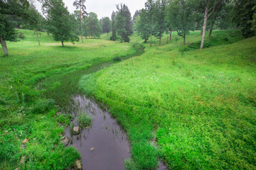 A grassy field with a small stream running through it