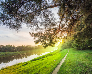 Obraz premium A tree branch is in the foreground of a beautiful, serene landscape