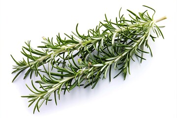 Obraz premium Rosemary isolated on white background