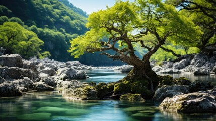 Beautiful image of a tree surrounded by beautiful nature. Preserving nature concept  
