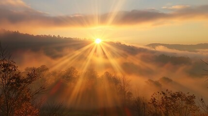 Golden light rays are illuminating a misty forest at sunrise, creating a beautiful and serene atmosphere over the rolling hills