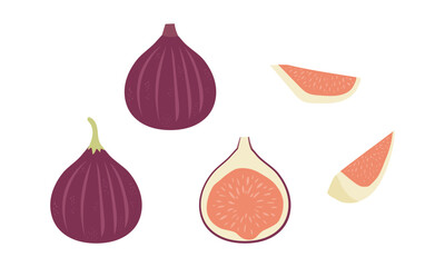 いちじくのイラストセット