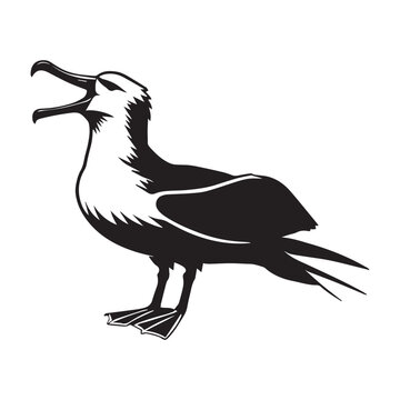 recommend clip art: Albatross silhouette, Diomedeidae Bird Clipart, A Albatross Calling illustration in black and white