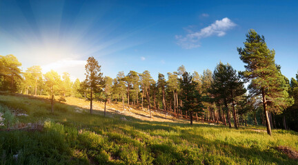 Scenic outdoor with a green park