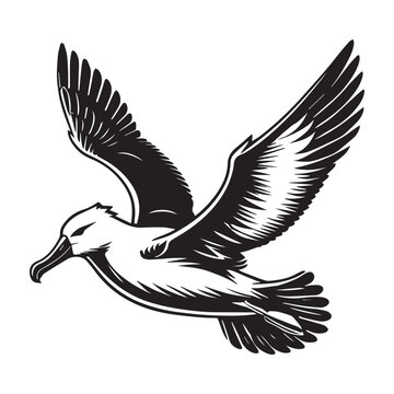 recommend clip art: Albatross silhouette, Diomedeidae Bird Clipart, A Albatross in Flight illustration in black and white