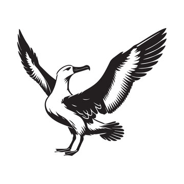 recommend clip art: Albatross silhouette, Diomedeidae Bird Clipart, A Albatross Stretching Wings illustration in black and white