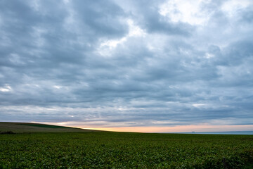 Naklejka premium A picturesque sunrise over a green field under dramatic clouds showcases the beauty of rural landscapes