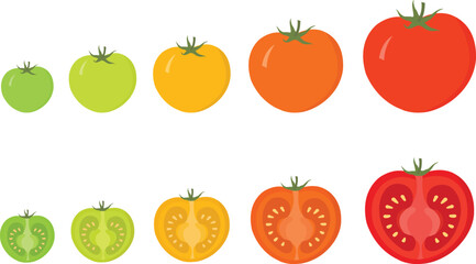 Full and half tomatoes sectional ripeness stages