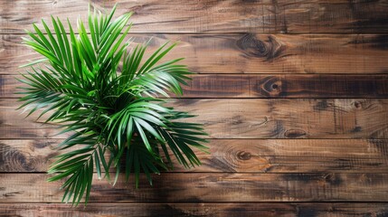 beautiful wooden background with plants