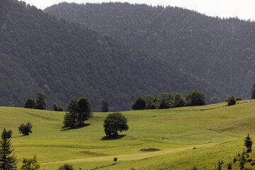mountain landscape alps alpine landscpe photographed in summer 