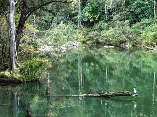 Platypus Pool - Broken River, Eungella, Queensland, Australia
