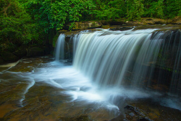 waterfall in the forest