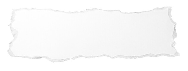 引きちぎられた白い厚紙のテクスチャー