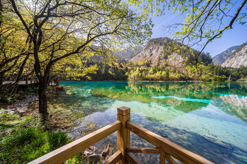 Fototapeta premium Five Flower Lake in Jiuzhai Valley National Park, Sichuan, China