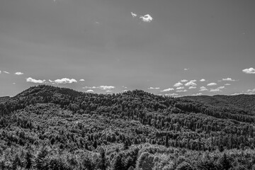 Obraz premium Landscapes - Forest - Europe, Romania, Suceava region