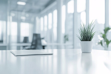 Modern Office with White Desk, Potted Plant, and Blurred Background