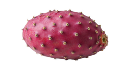 Close-up of a Prickly Pear