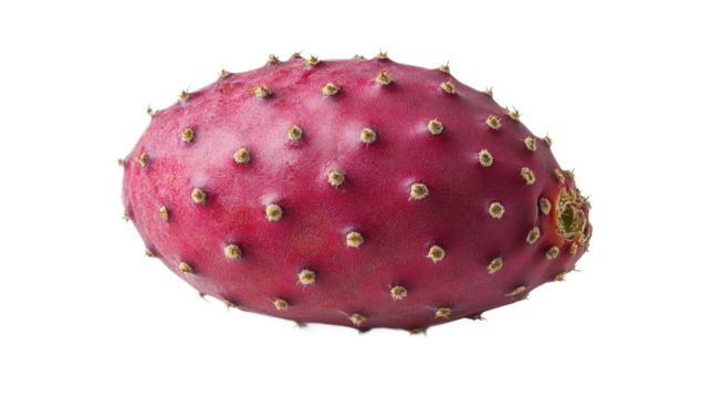 Close-up of a Prickly Pear