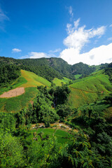 Obraz premium The mountainous landscape of the tropical forest in Nan Province, Thailand is a paradise for drivers and nature tourists.
