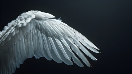 Obraz premium Elegant Pegasus Wings in Shimmering White Feathers Against Black Background with Copy Space