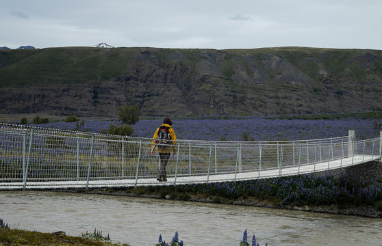 man in a yellow jacket crossing a suspension bridge in Iceland