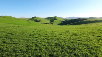 Naklejka premium Rolling Hills in a Lush Meadow