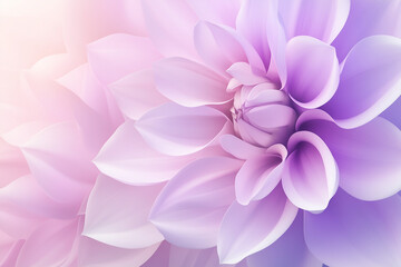 Fototapeta premium dahlia