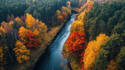 Autumn River
