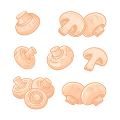 Champignons mushroom isolated on white background. Drawing champignon for menu, label, product packaging, recipe, market. Food in flat style. Hand drawn illustration.