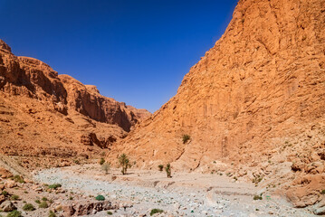 Fototapeta premium Todgha Gorge, Morocco. Limestone river canyons, or wadi, in the eastern part of the High Atlas Mountains.