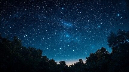 Fototapeta premium Starry Night Sky over Silhouetted Trees.