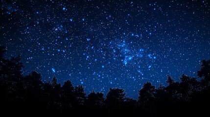 Starry Night Sky Over Silhouetted Trees.