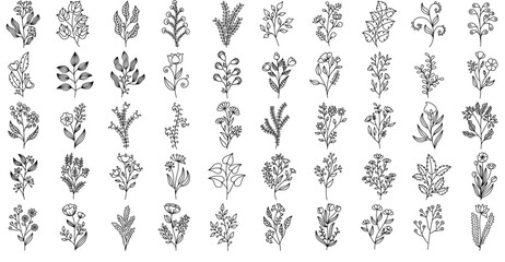 Set Of Floral Branch Outline Icons Silhouette Vector Logo Design Containing Flower,Branch,Floral,Plant,Ornament Vector Icon Set Linear Pictogram Pack