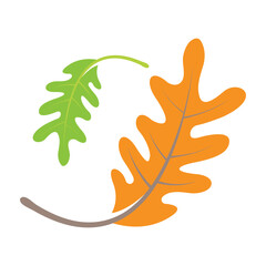 Autumn oak leaf