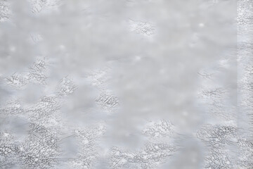 Obraz premium Abstract Grey Concrete Texture: A close-up shot of a textured grey concrete surface with a soft, diffused light. Its subtle variations in shade and texture create a minimalist, modern backdrop for des