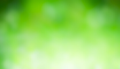 Fototapeta premium Green background bokeh blur nature bubble natural bright wallpaper mockup environment ecosystem zero carbon, bright magic fresh growth grass effect shiny element space backdrop festive celebration.