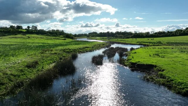 Finn River, County Monaghan, Ireland, September 2022. Drone pushes forward centered over water with tall reeds sparkling from sunlight with ripples blown by wind.