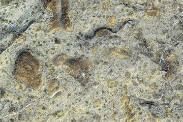 Natural stone surface close up view.