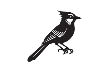 Jay bird silhouette vector illustration