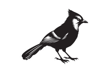 Jay bird silhouette vector illustration