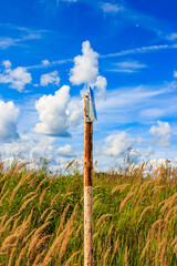 Road sign on a pole against the background of an overgrown field and clouds in the sky