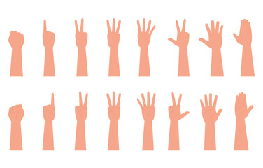 Hands poses. SET of hand gestures isolated over the white background. Various gestures of hands. Hands facing down and hands facing up. Vector illustration flat design style