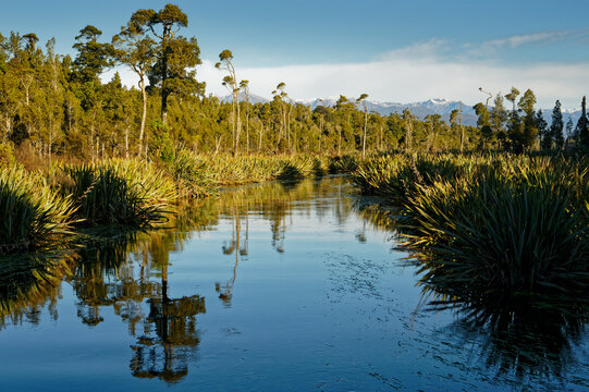 Mirror reflections in Mahinapua Creek leading to Lake Mahinapua, New Zealand