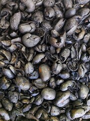 A close-up view of roasted coffee husks, rich in natural charcoal, ideal for eco-friendly cosmetic and skincare products