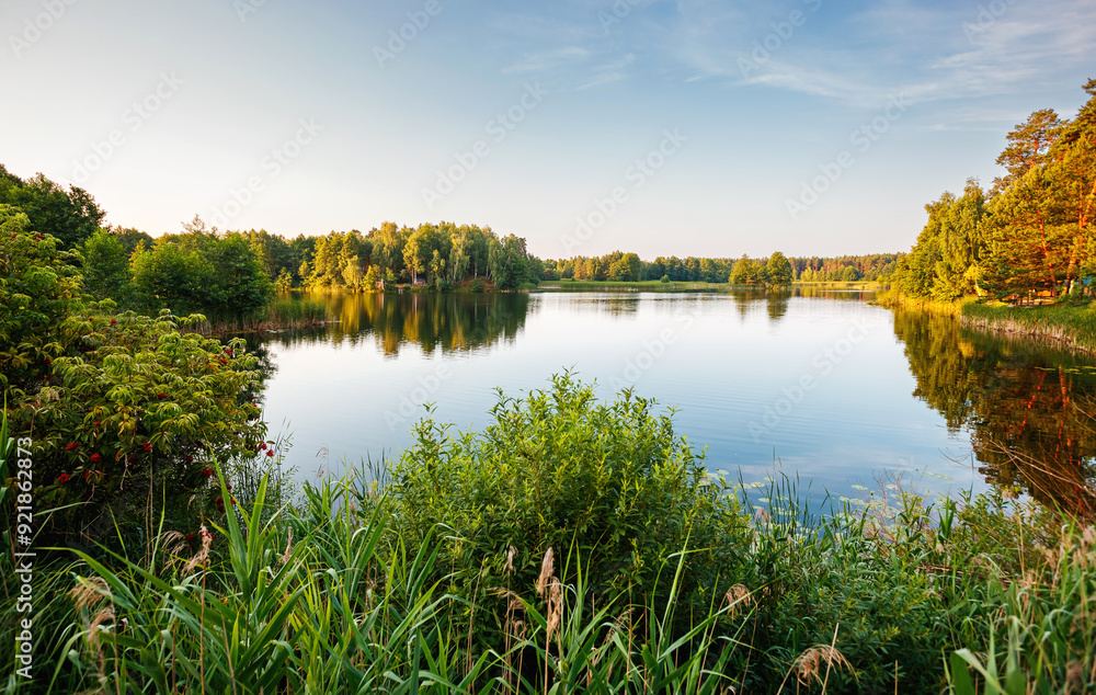 Sticker A calm and quiet lake in the morning light surrounded by a forest. Small Polissya, Ukraine, Europe.