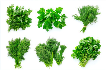 Obraz premium hyperrealistic photo of set of bunches of different greenery such as parsley, dill, and rosemary on 100% white background